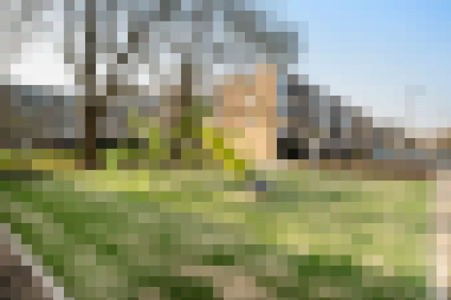 Middelrode 191 Rotterdam thumbnail 5