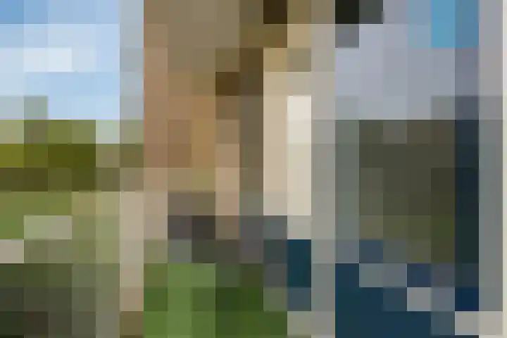 Middelrode 31 Rotterdam thumbnail 7