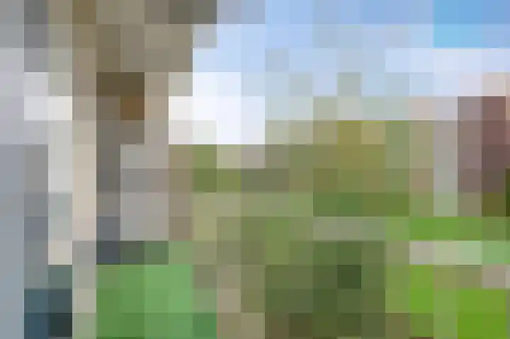 Middelrode 31 Rotterdam thumbnail 8