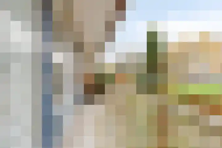 Middelrode 43 Rotterdam thumbnail 24