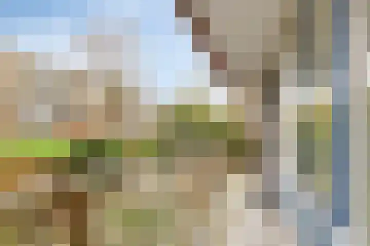 Middelrode 43 Rotterdam thumbnail 25