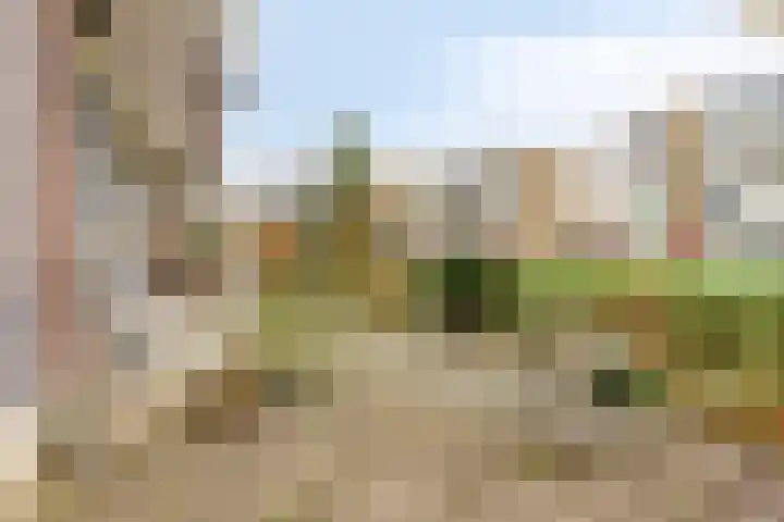 Middelrode 43 Rotterdam thumbnail 26