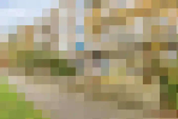 Middelrode 43 Rotterdam thumbnail 28