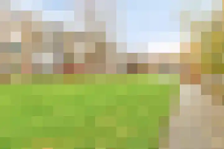 Middelrode 43 Rotterdam thumbnail 31