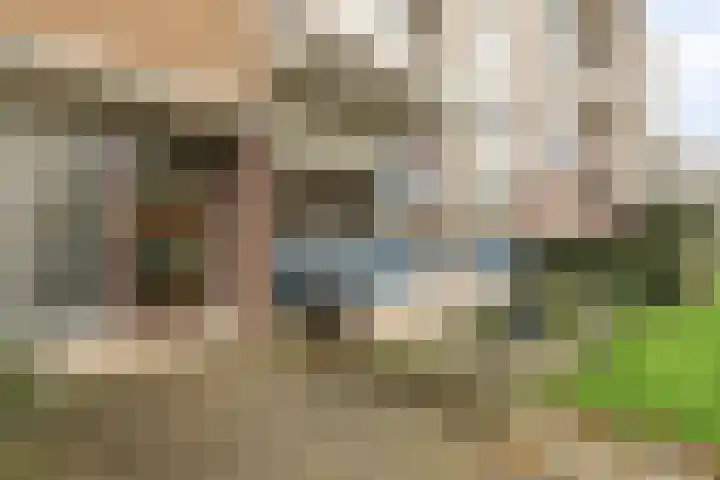 Middelrode 43 Rotterdam thumbnail 33