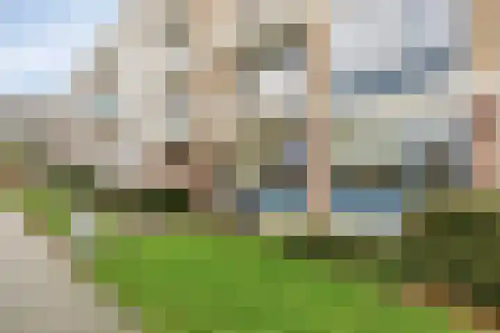 Middelrode 43 Rotterdam thumbnail 34