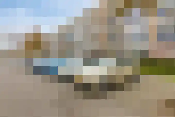 Middelrode 43 Rotterdam thumbnail 35