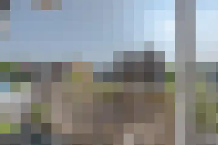 Middelrode 67 Rotterdam thumbnail 13