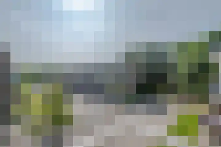 Middelrode 67 Rotterdam thumbnail 14