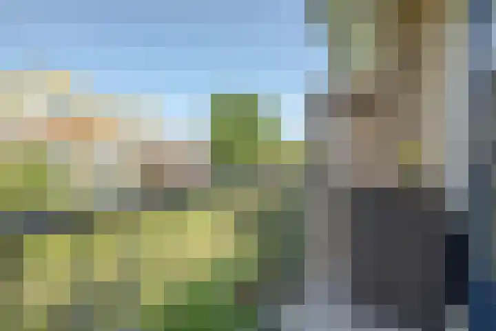 Middelrode 67 Rotterdam thumbnail 19