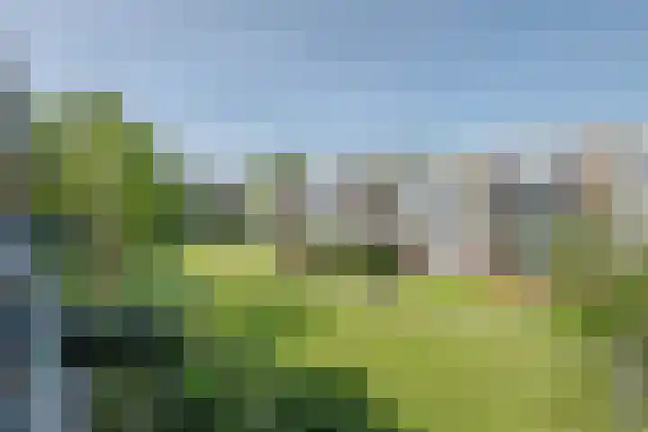 Middelrode 67 Rotterdam thumbnail 20