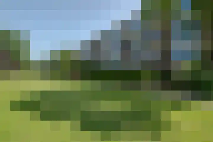 Middelrode 67 Rotterdam thumbnail 22