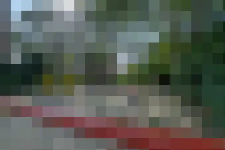 Middelrode 67 Rotterdam thumbnail 23