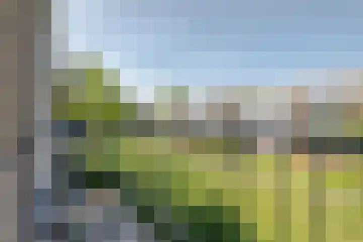 Middelrode 67 Rotterdam thumbnail 5