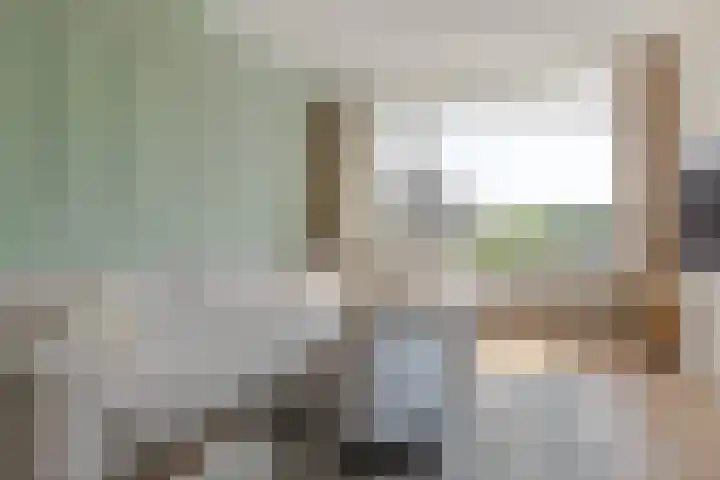 Middelrode 67 Rotterdam thumbnail 7
