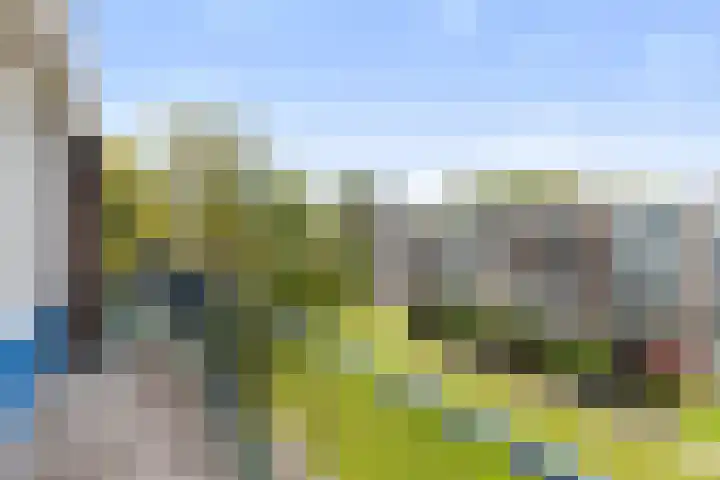 Middelrode 77 Rotterdam thumbnail 11