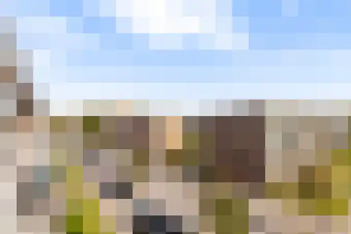 Middelrode 77 Rotterdam thumbnail 20
