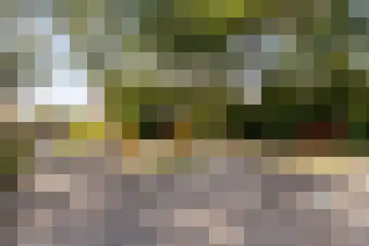 Middelrode 77 Rotterdam thumbnail 22