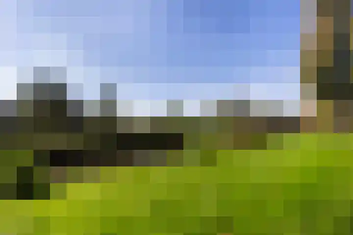 Middelrode 77 Rotterdam thumbnail 23