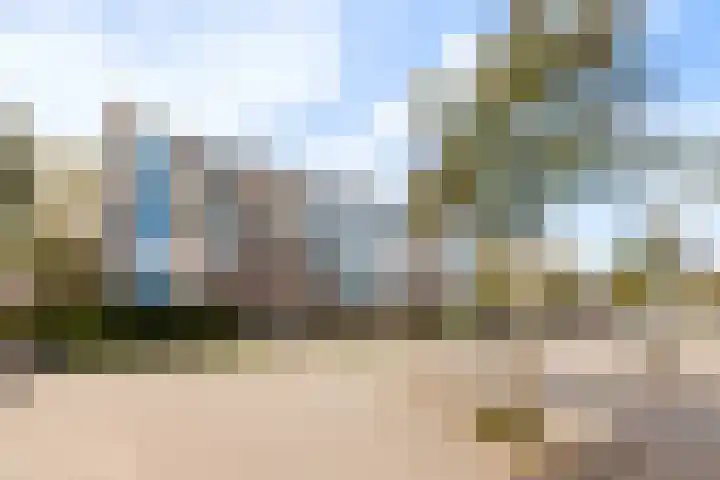 Middelrode 77 Rotterdam thumbnail 25