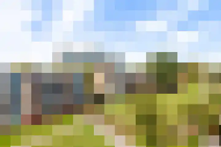 Middelrode 77 Rotterdam thumbnail 28