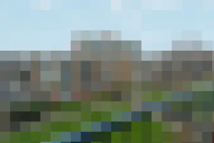 Middelrode 83 Rotterdam thumbnail 22