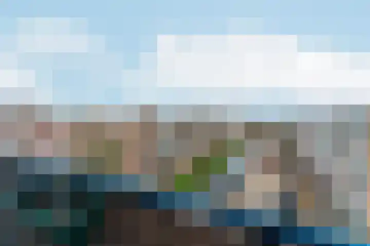 Middelrode 83 Rotterdam thumbnail 32