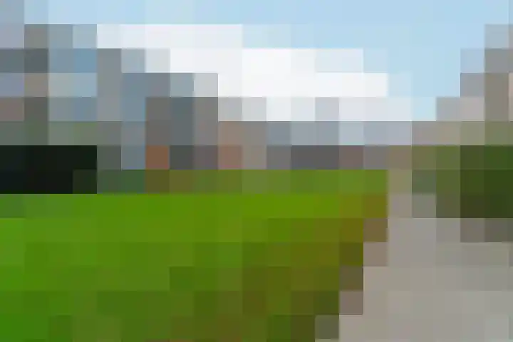 Middelrode 83 Rotterdam thumbnail 33