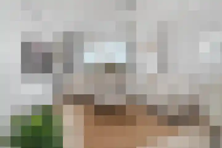 Middelrode 83 Rotterdam thumbnail 6