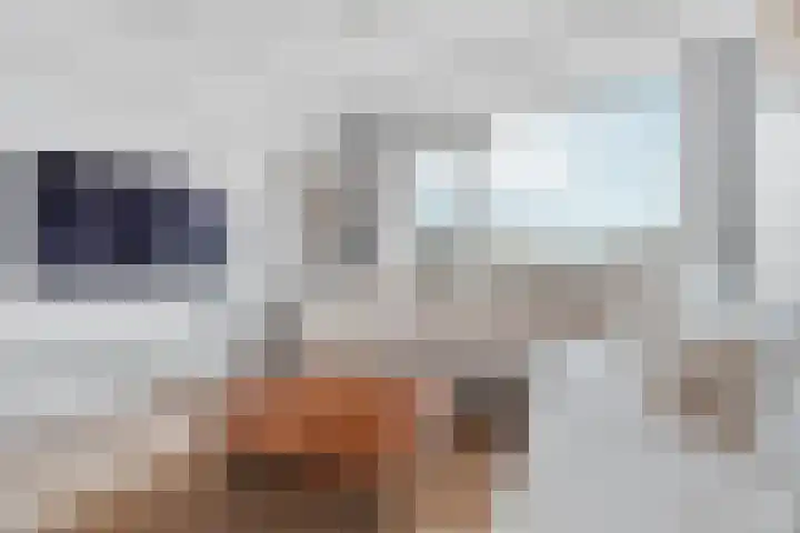 Middelrode 83 Rotterdam thumbnail 7