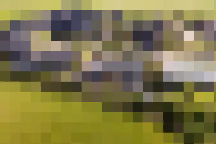 Middelsee 3 Wiuwert thumbnail 10