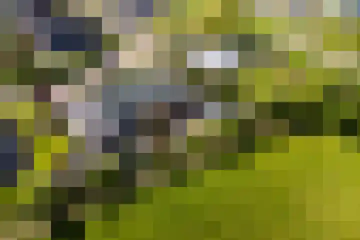 Middelsee 3 Wiuwert thumbnail 11