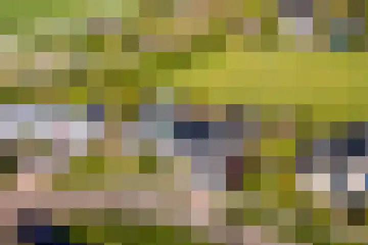 Middelsee 3 Wiuwert thumbnail 12