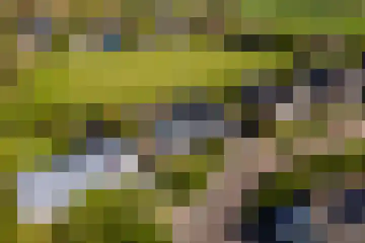 Middelsee 3 Wiuwert thumbnail 13
