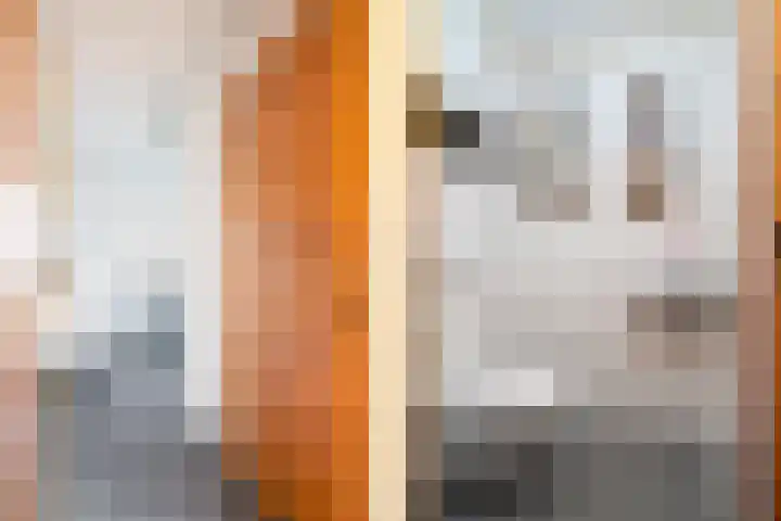 Middelsee 3 Wiuwert thumbnail 16