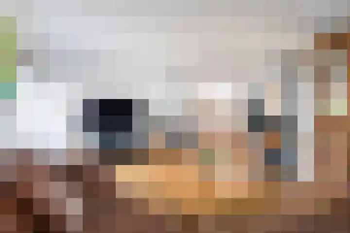 Middelsee 3 Wiuwert thumbnail 21