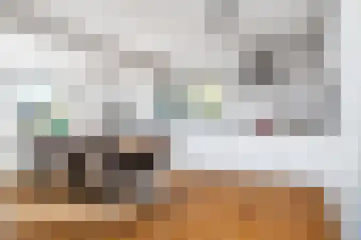 Middelsee 3 Wiuwert thumbnail 22