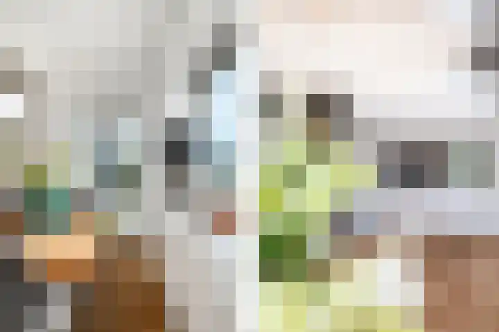 Middelsee 3 Wiuwert thumbnail 24