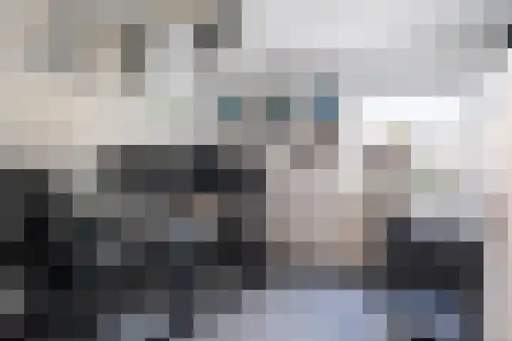 Middelsee 3 Wiuwert thumbnail 28