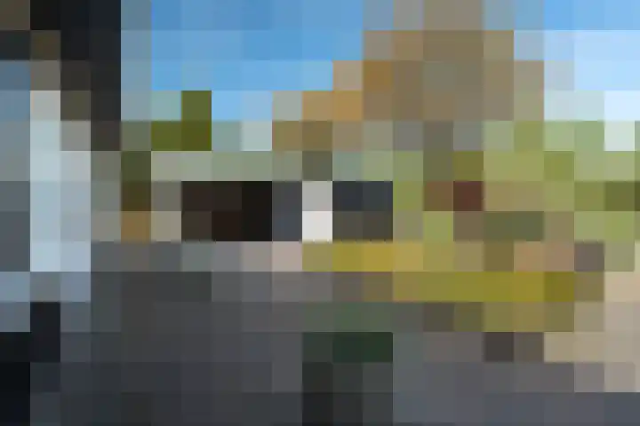 Middelsee 3 Wiuwert thumbnail 46