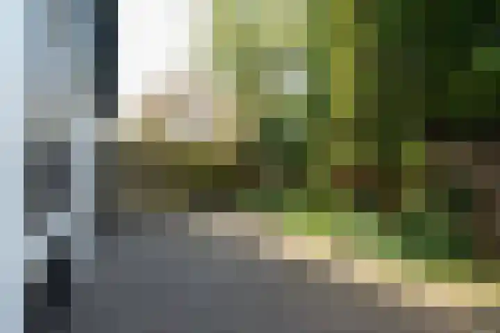 Middelsee 3 Wiuwert thumbnail 47