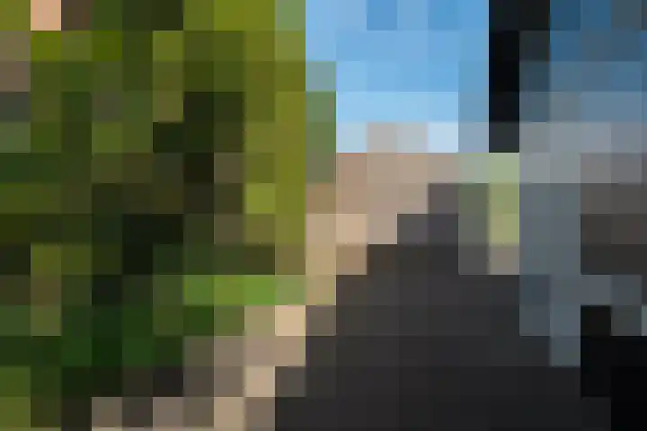 Middelsee 3 Wiuwert thumbnail 48