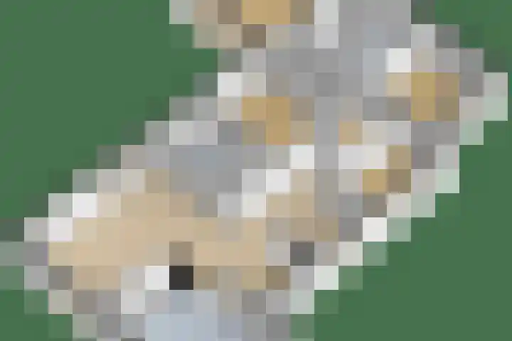 Middelsee 3 Wiuwert thumbnail 62