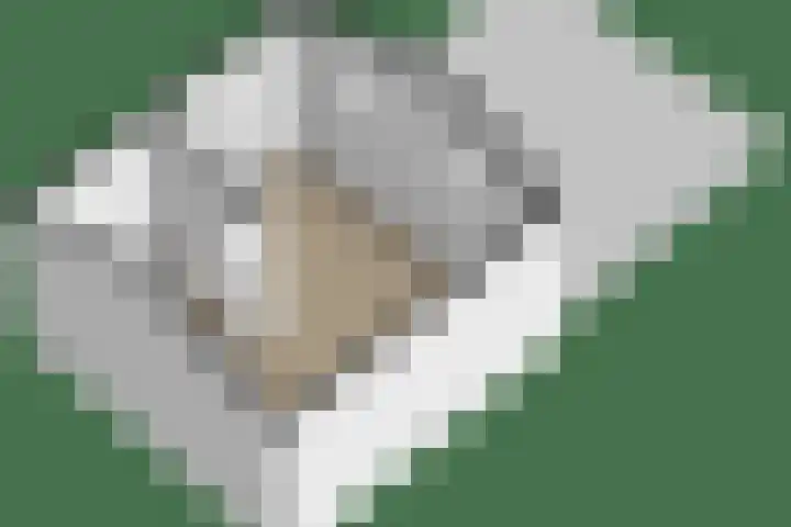 Middelsee 3 Wiuwert thumbnail 63