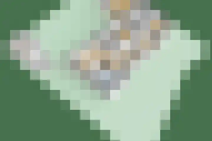 Middelsee 3 Wiuwert thumbnail 65