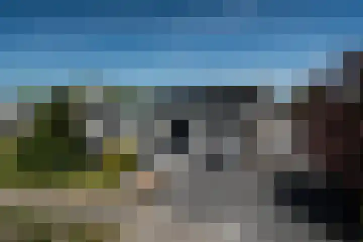 Middelsee 3 Wiuwert thumbnail 66