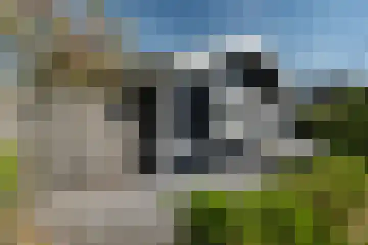 Middelsee 3 Wiuwert thumbnail 7