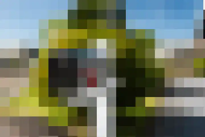 Middelsee 3 Wiuwert thumbnail 9