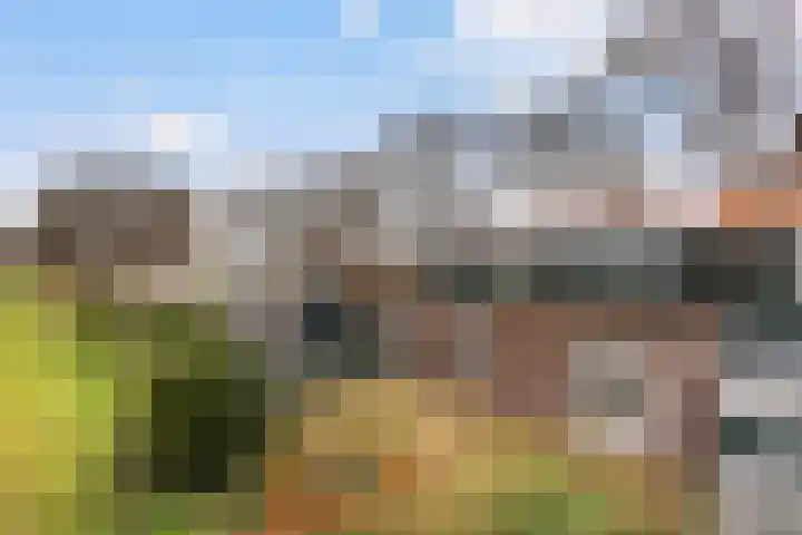 Middelsluissedijk OZ 64 Numansdorp thumbnail 30