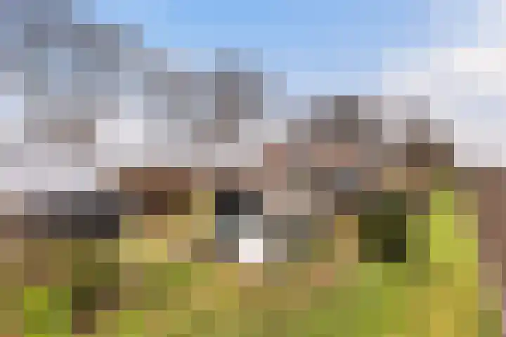 Middelsluissedijk OZ 64 Numansdorp thumbnail 33